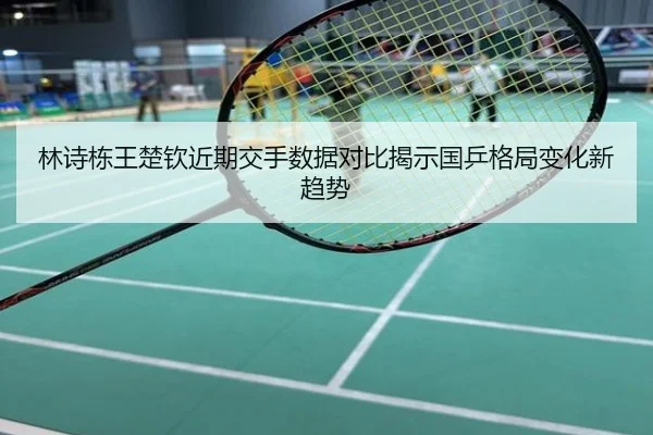 林诗栋王楚钦近期交手数据对比揭示国乒格局变化新趋势