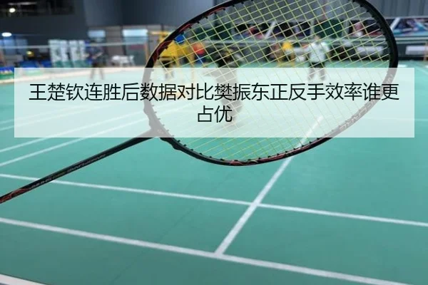王楚钦连胜后数据对比樊振东正反手效率谁更占优